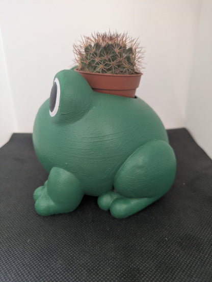 Rana Plant Friends Porta piante per succulente e mini piante – vista laterale sinistra