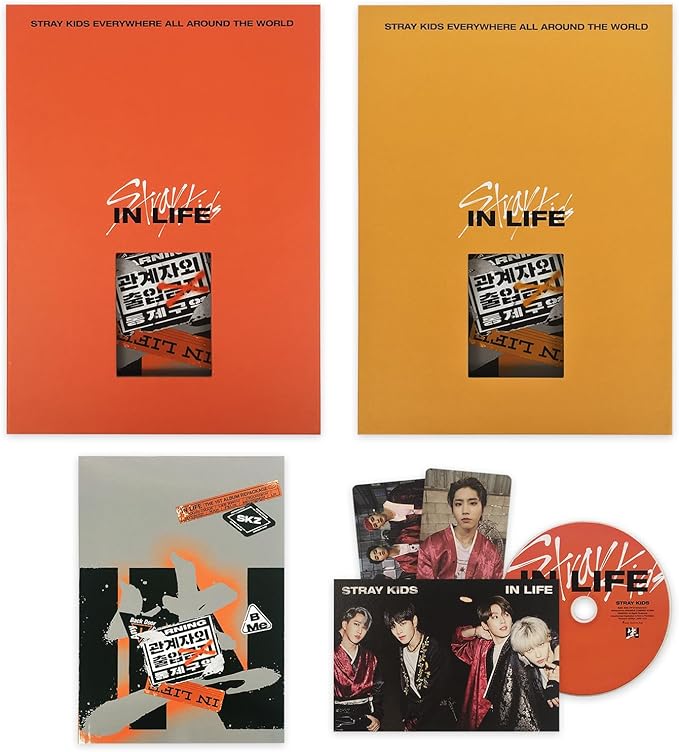 Album da collezione – STRAY KIDS VOL.1 REPACKAGE [IN生 (IN LIFE)] (STANDARD VER.)(Originale)