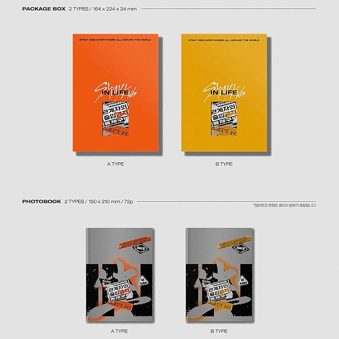 Album da collezione – STRAY KIDS VOL.1 REPACKAGE [IN生 (IN LIFE)] (STANDARD VER.)(Originale)