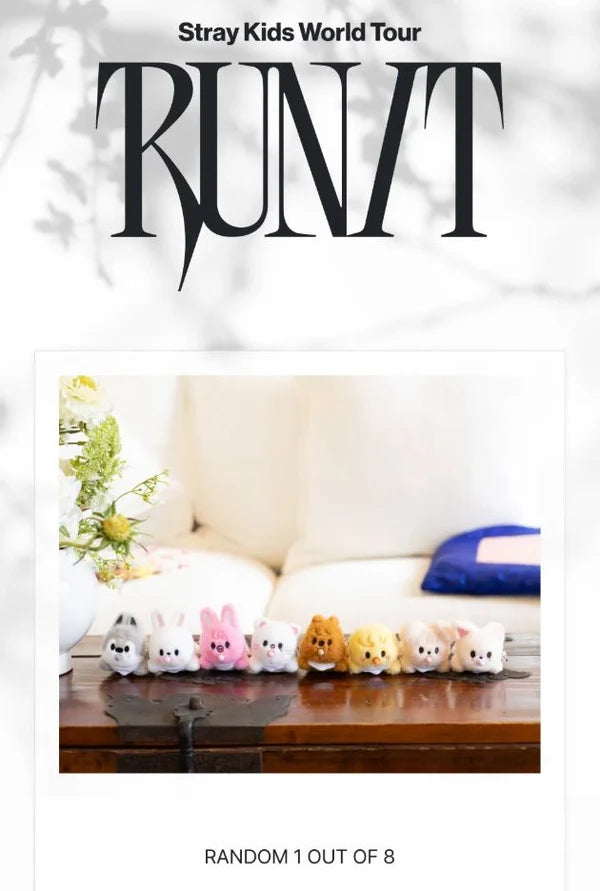 STRAY KIDS – [RUN IT SEOUL] SKZOO SECRET WIND-UP PLUSH (RANDOM) (PRE-ORDER) Gadget Ufficiale