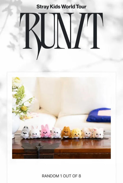STRAY KIDS – [RUN IT SEOUL] SKZOO SECRET WIND-UP PLUSH (RANDOM) (PRE-ORDER) Gadget Ufficiale